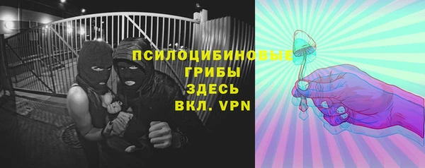 крисы Балахна