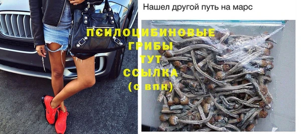ПСИЛОЦИБИНОВЫЕ ГРИБЫ Армянск