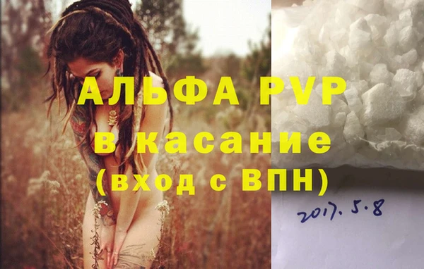стаф Долгопрудный