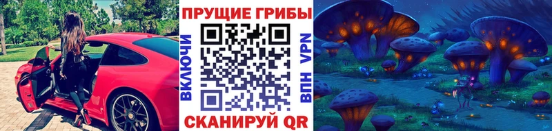 Галлюциногенные грибы GOLDEN TEACHER  где можно купить наркотик  Белокуриха 