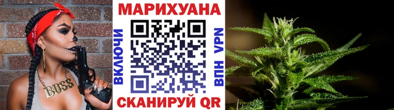 Каннабис конопля  Белокуриха 